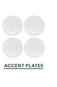 ACCENT PLATES