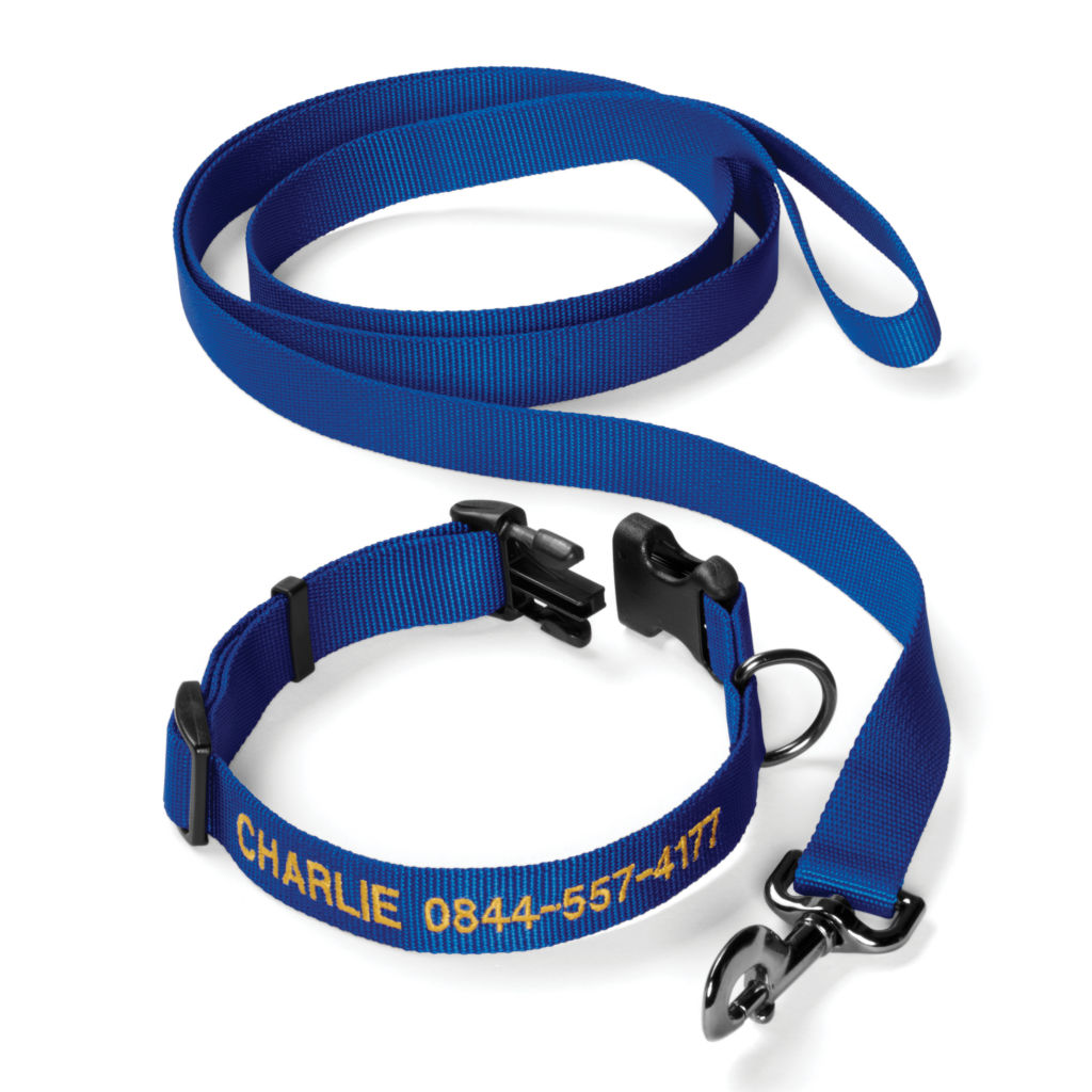  Personalized Adjustable Dog Collar with Leash