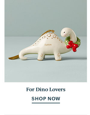 For Dino Lovers  SHOP NOW