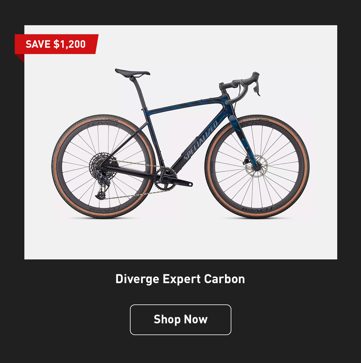 Diverge Expert Carbon