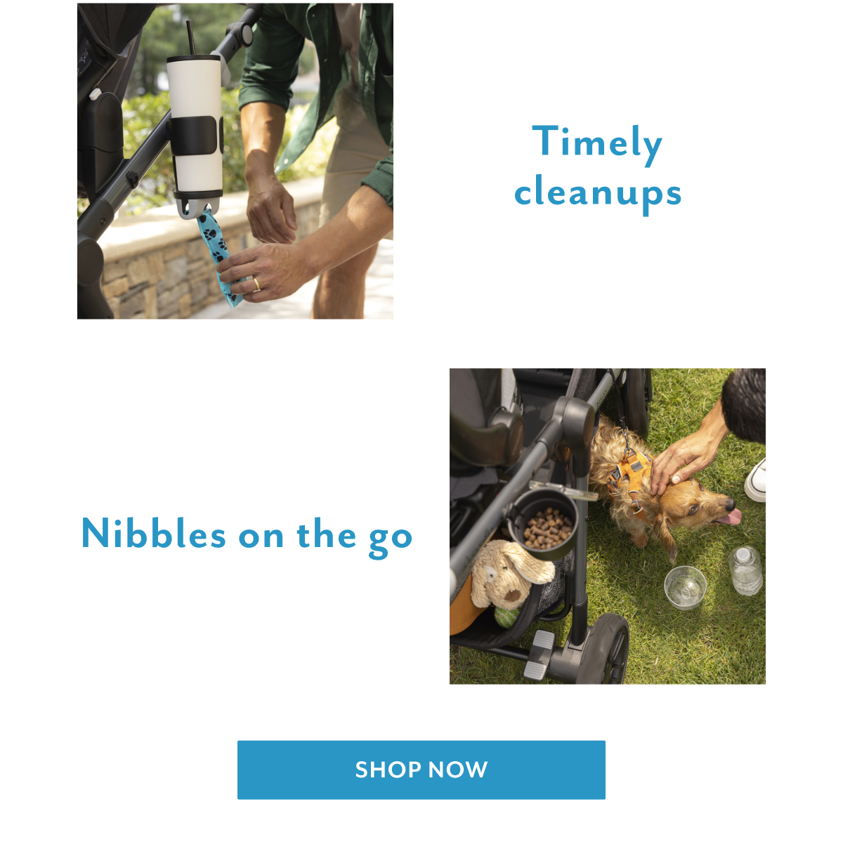 Timely cleanups | Nibbles on the go | Shop now