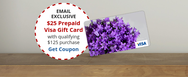 Email Exclusive $25 Prepaid Visa Gift Card - Get Coupon