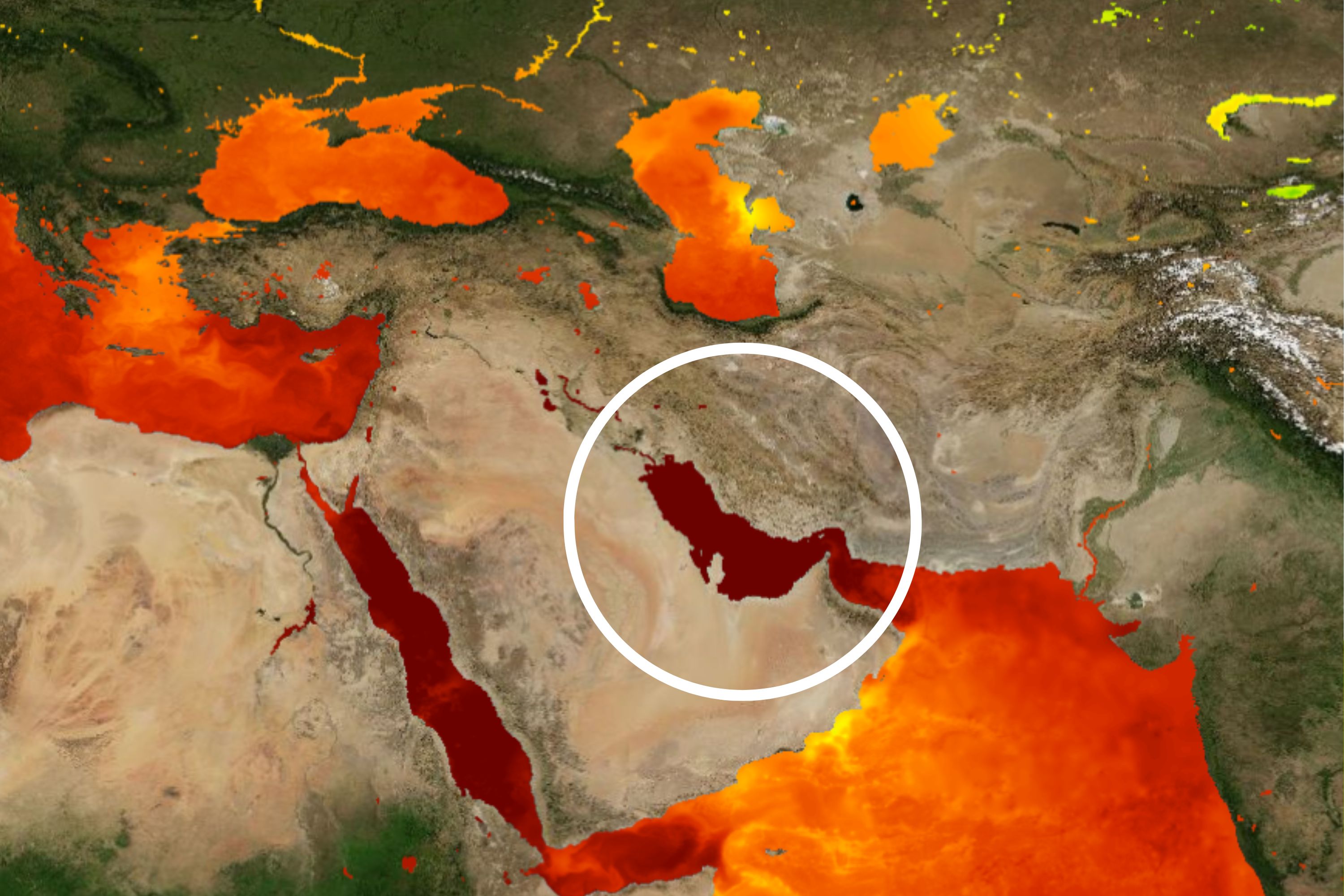 NASA Sea Surface Temperature Persian Gulf