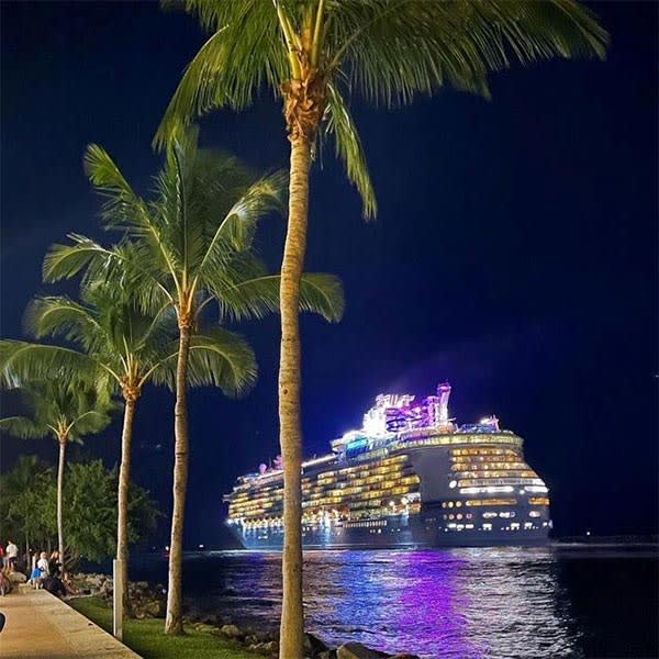 A cruise ship sails past a row of palm trees at night