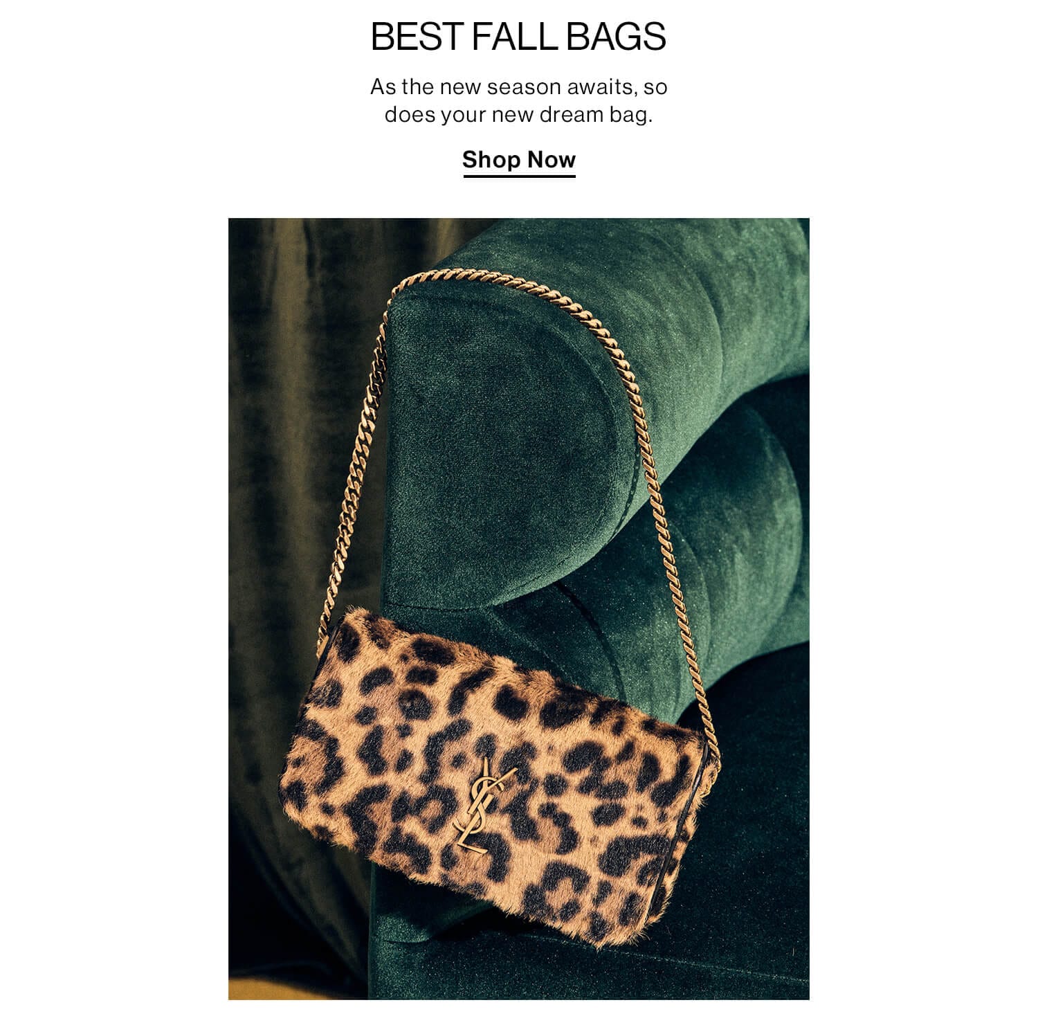 Best Fall Bags. As the new season awaits, so does your new dream bag. Shop Now 