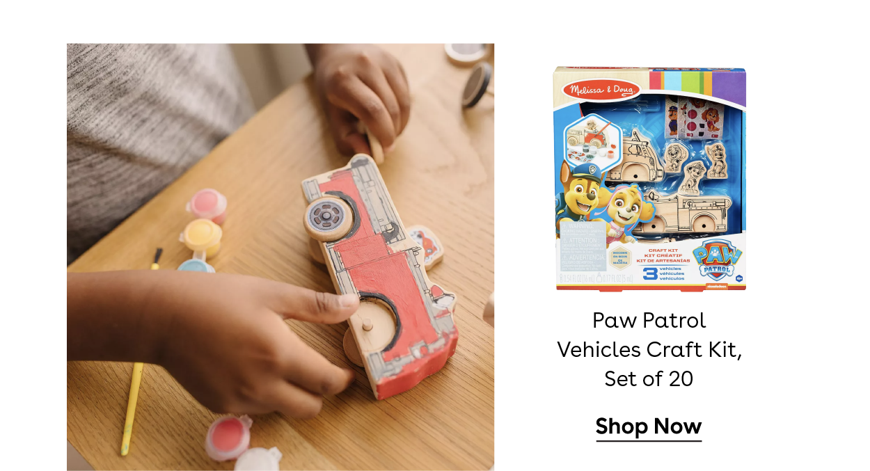 Paw Patrol Vehicles Craft Kit, Set of 20