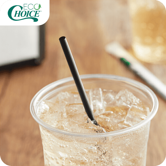 EcoChoice Compostable Straws