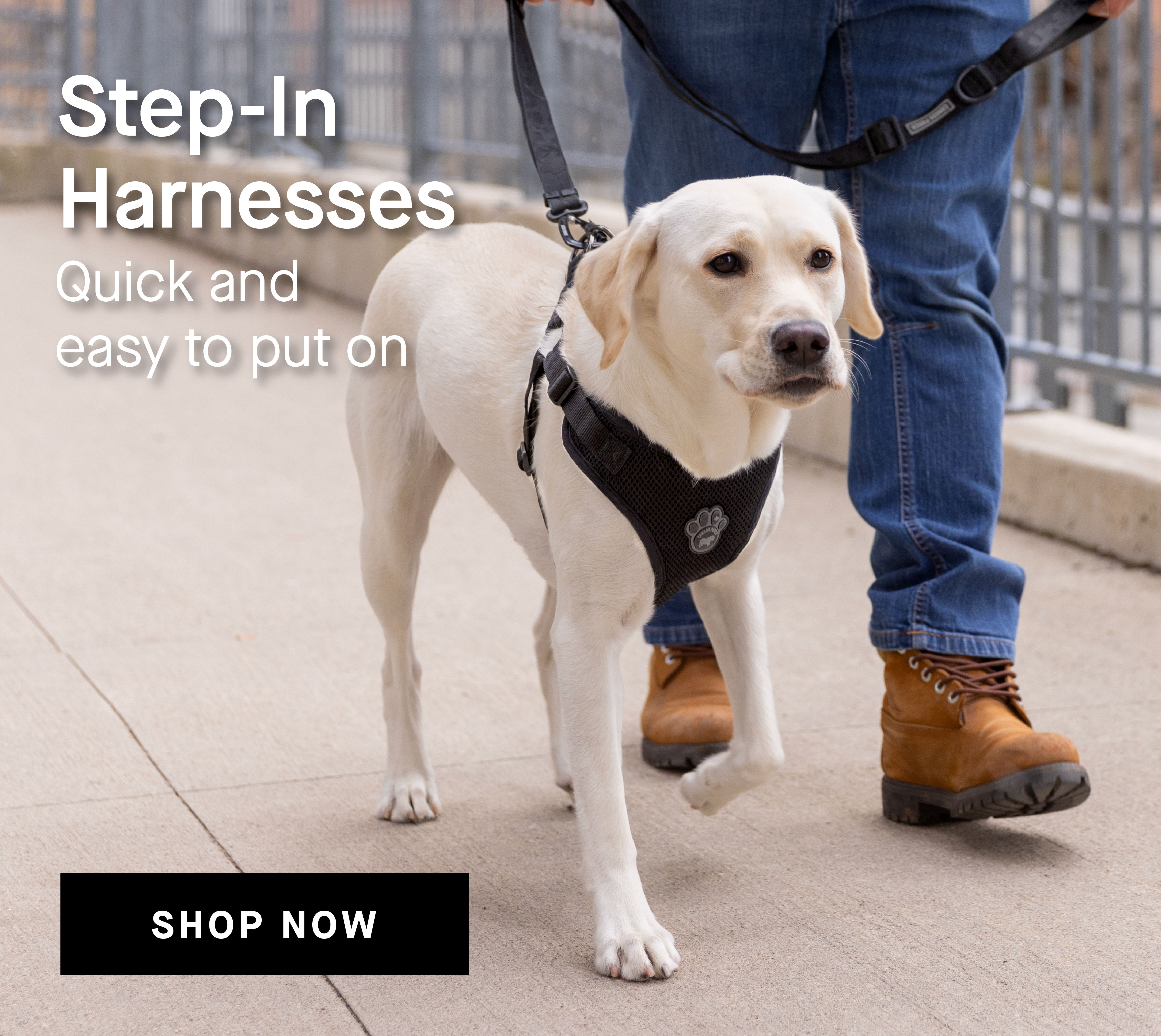 Step-In Harnesses