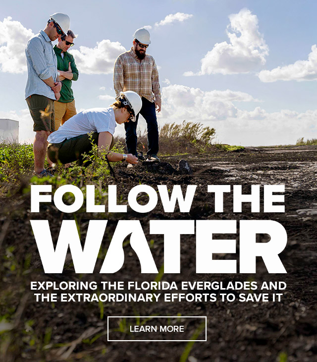 Follow the Water  | Exploring the Florida Everglades and the extraordinary efforts to save it