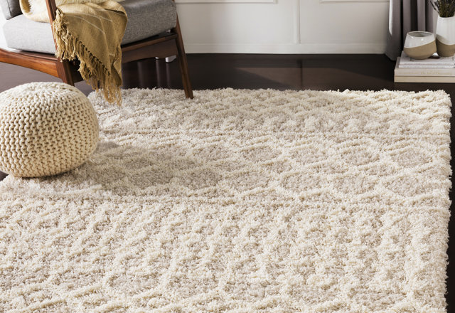 Must-Grab Ivory/Cream Area Rugs