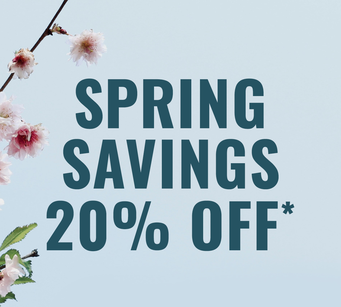 Spring Savings 20% OFF*