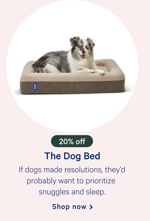 The Dog Bed >> If dogs made resolutions, theyâ€™d probably want to prioritize snuggles and sleep. >> Shop now >>