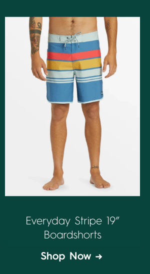 Everyday Stripe 19" Boardshorts