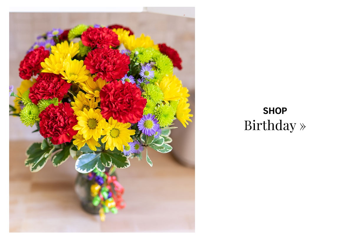 Shop Birthday »