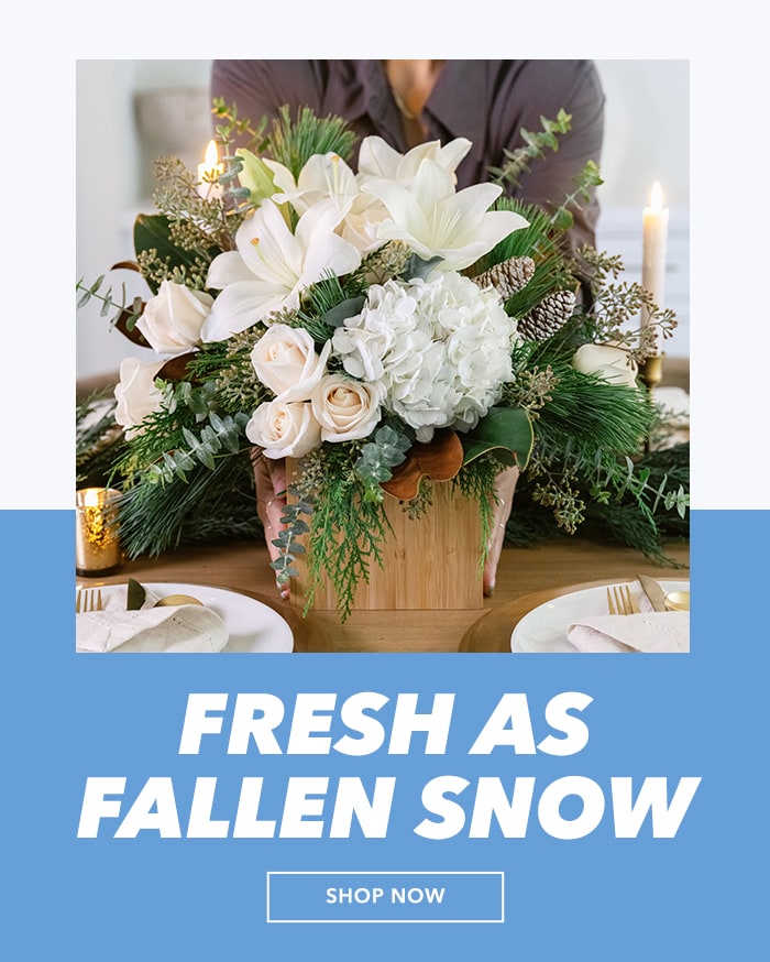 Fresh as fallen snow