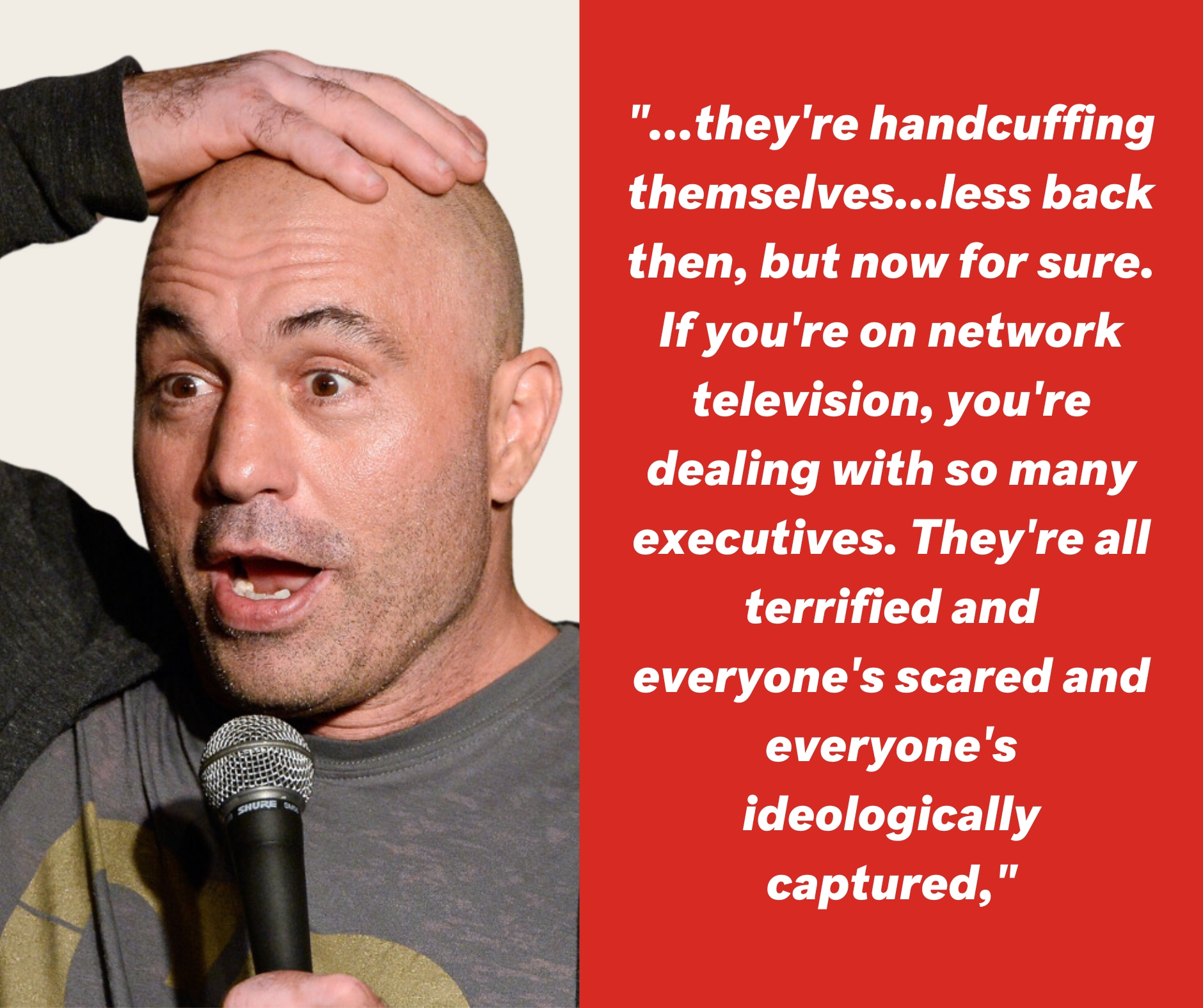 <p>Do you know what Joe Rogan is referring to? Go behind the quote below.</p>