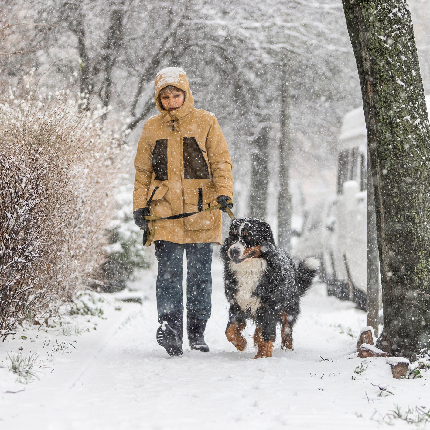 'The Old Farmer’s Almanac' Predicts Winter 2025 Will Be More Wet than Snowy