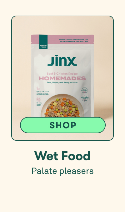 Shop Wet Food