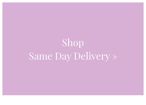 Shop Same Day »