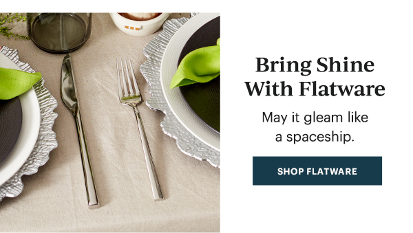 Bring Shine With Flatware  May it gleam like a spaceship.  [SHOP FLATWARE]