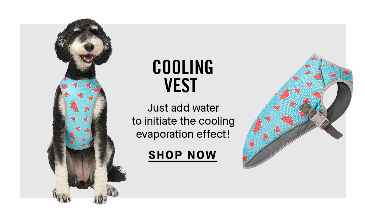 Cooling Vest