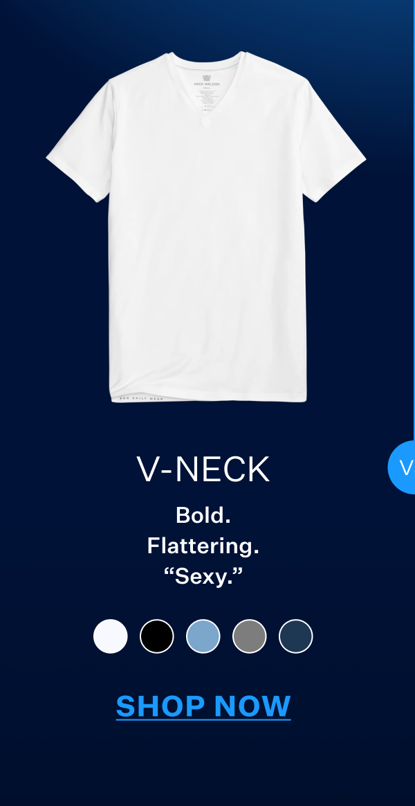 SILVER V-Neck T-Shirt