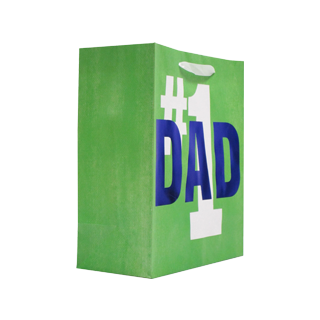 Green Father's Day gift bag