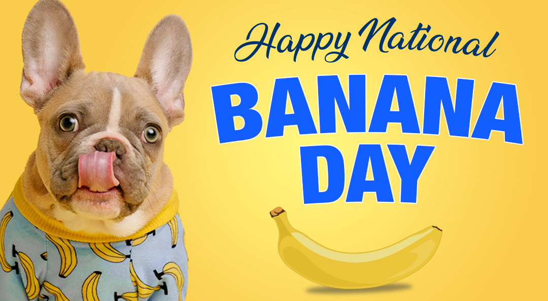 Happy National Banana Day