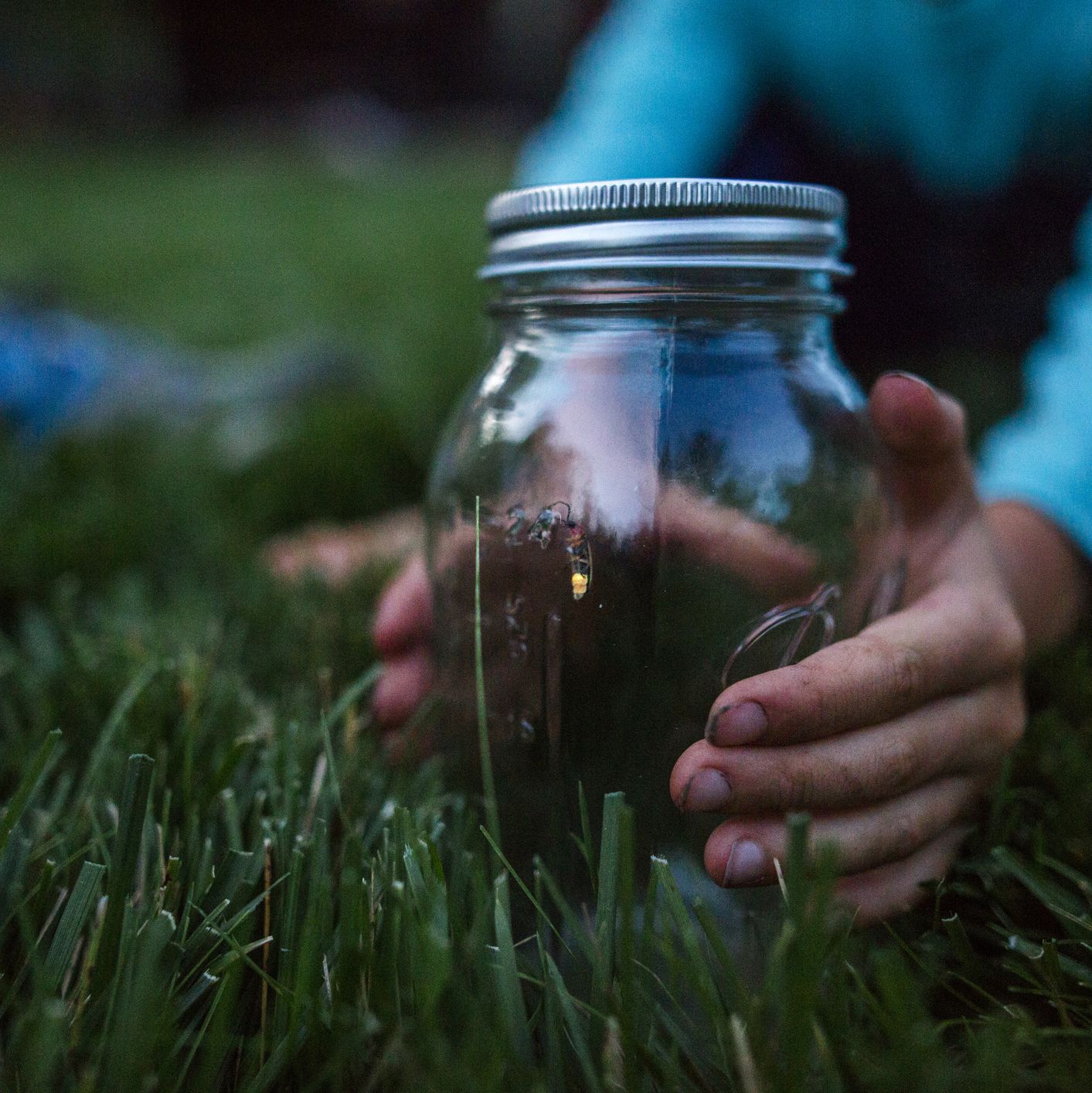 The Secret to Catching Fireflies