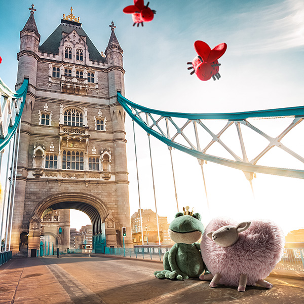 Valentine's Love on the Bridge