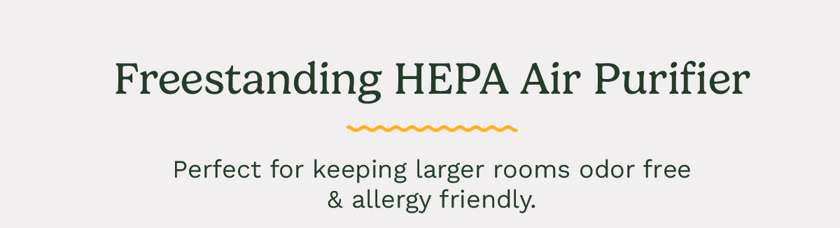 Freestanding HEPA Air Purifier