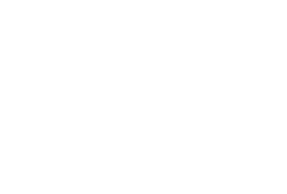 LEM Products