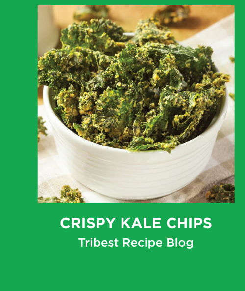 Crispy Kale Chips Tribest Recipe Blog