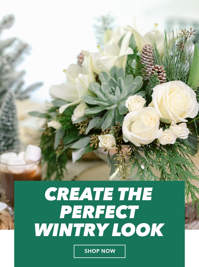 Create the perfect wintry look