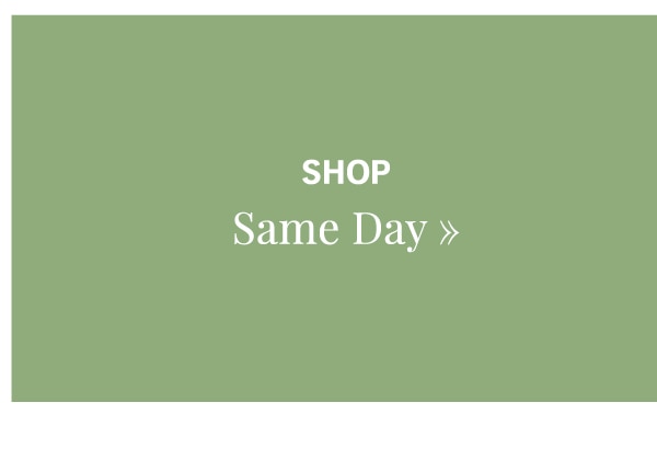 Shop Same Day »