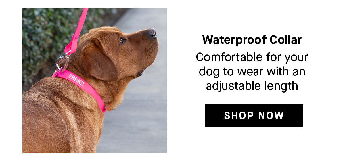 Waterproof Collar: Comfortable for your dog to wear with an adjustable length. Shop Now