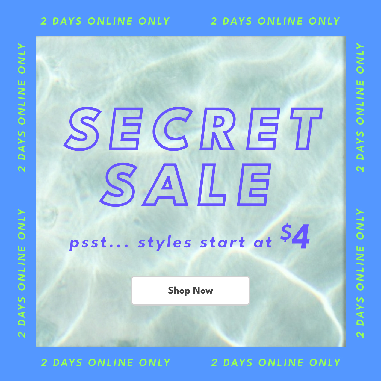 2 DAYS ONLINE ONLY | SECRET SALE | psst... styles start at $4 | Shop Now