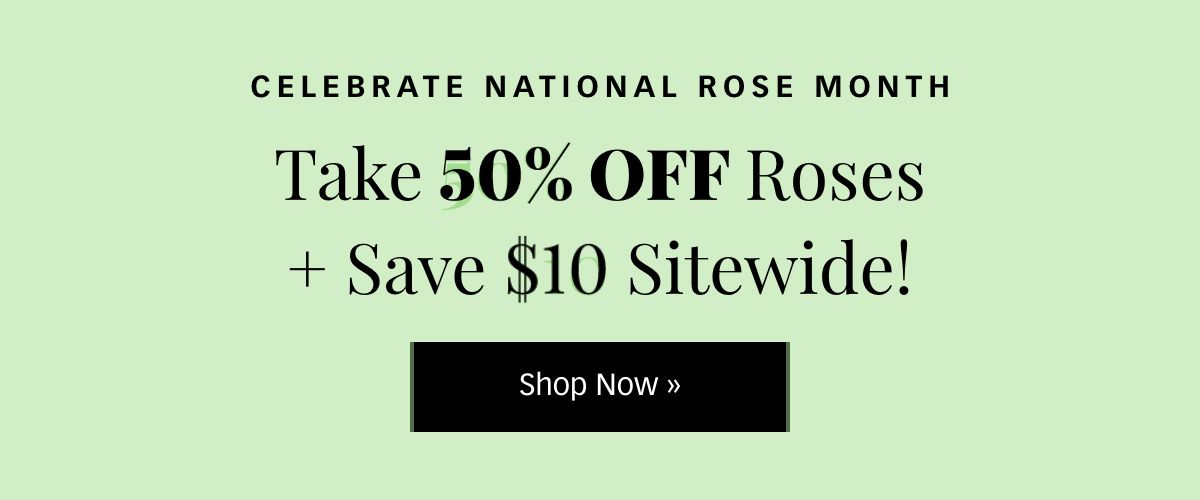 50% Off Roses + $10 Off Sitewide »