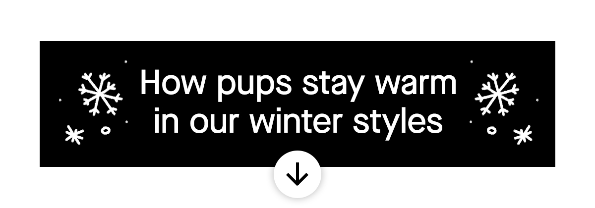 How pups stay warm in our winter styles