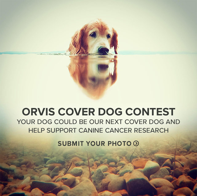 COVER DOG