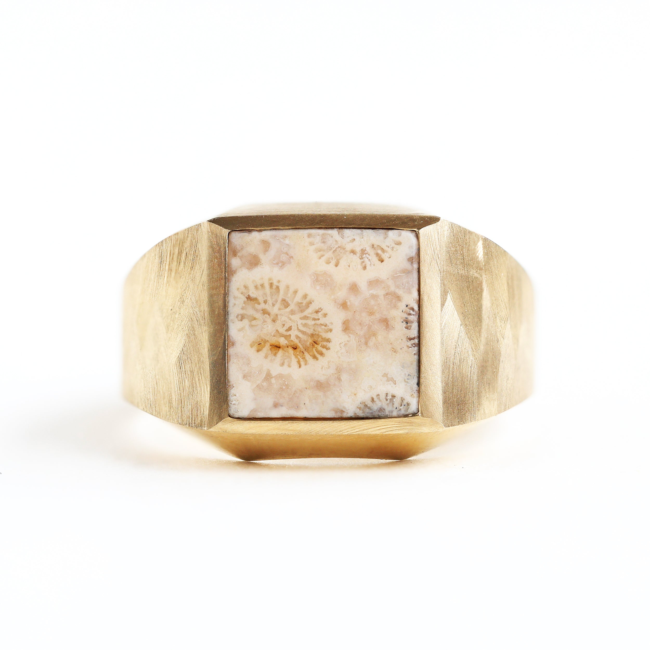 Image of Keanu signet ring with fossilized coral