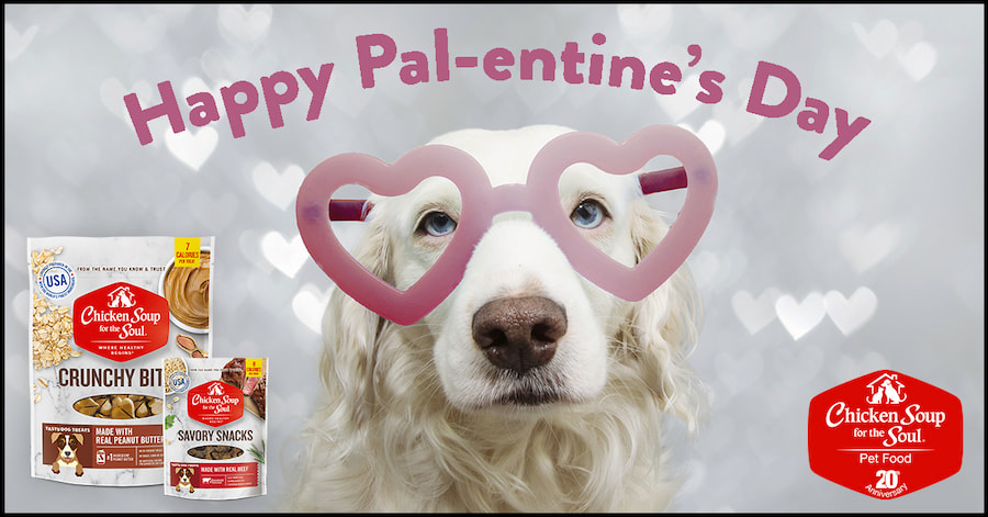 graphic with dog wearing heart-eyes glasses: Happy Pal-entine's Day