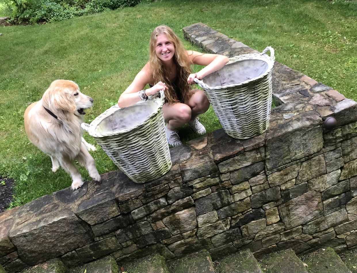 French Basket Planter