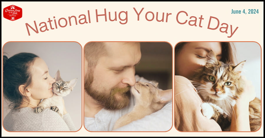 woman snuggling kitten on her shoulder; bearded man nuzzling cat; woman hugging cat