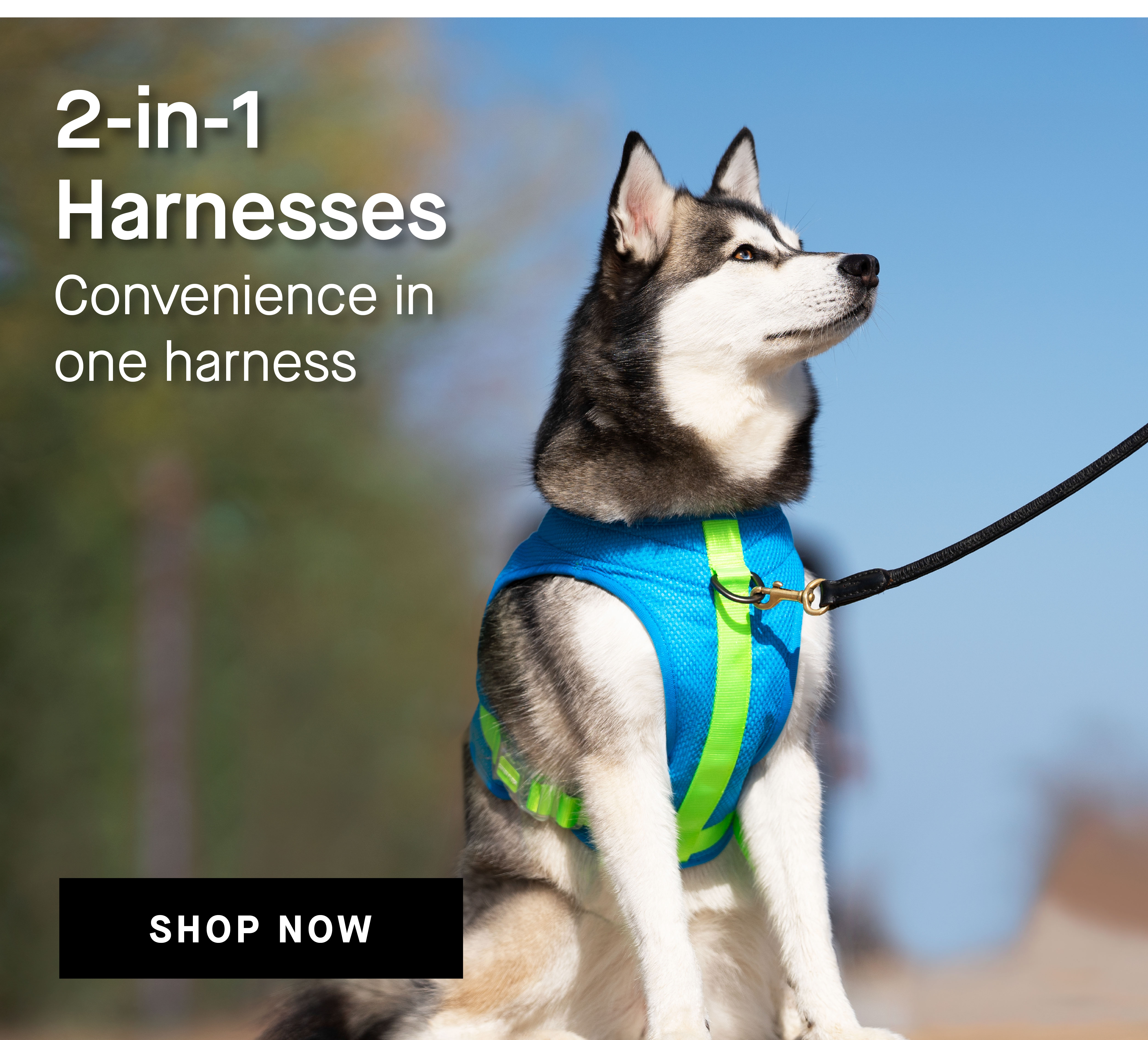 2-in-1 Harnesses