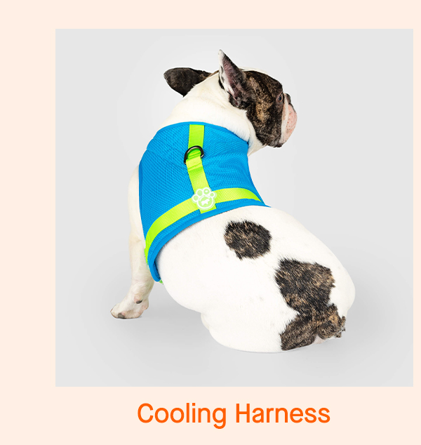 Cooling Harness