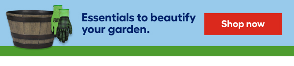 Essentials to beautify your garden