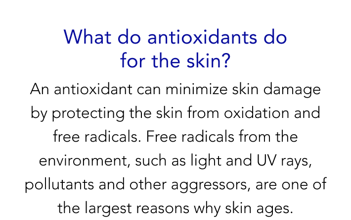 What do antioxidants do for the skin?