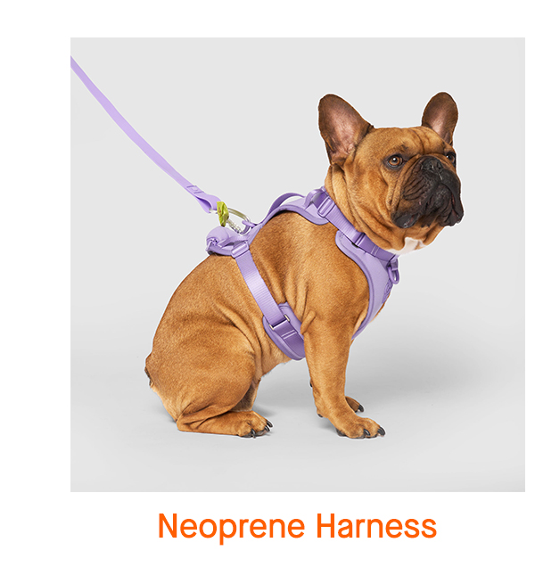 Neoprene Harness