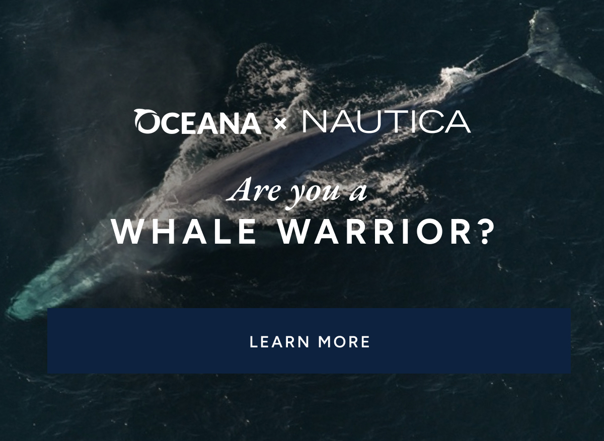 Oceana X Nautica. Are you a whale warrior? LEARN MORE